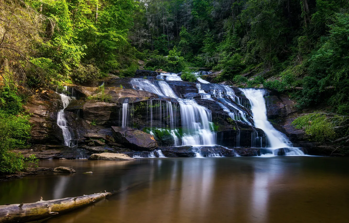 Photo wallpaper forest, trees, stones, waterfall, log, pond