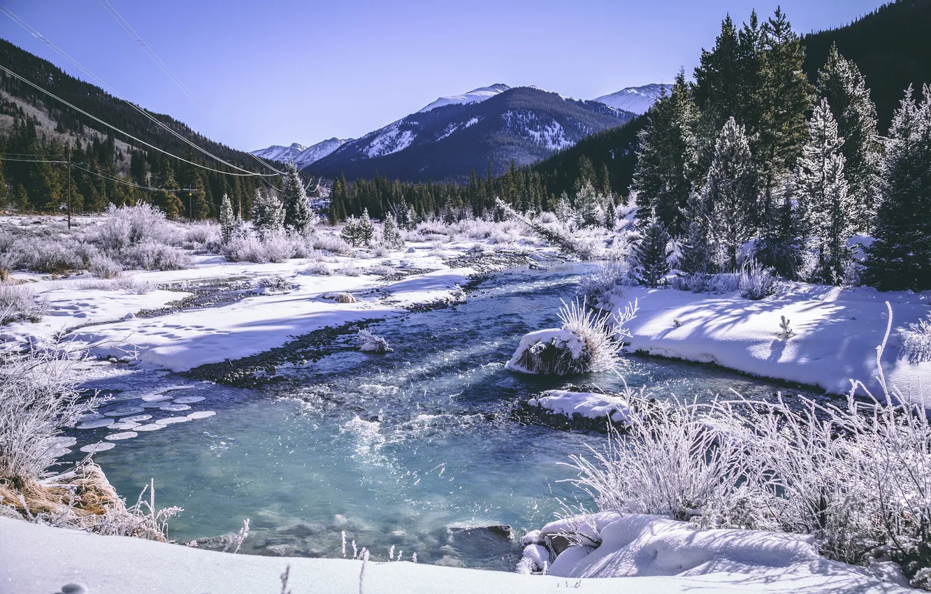 Photo wallpaper ice, winter, forest, the sky, snow, trees, landscape, mountains