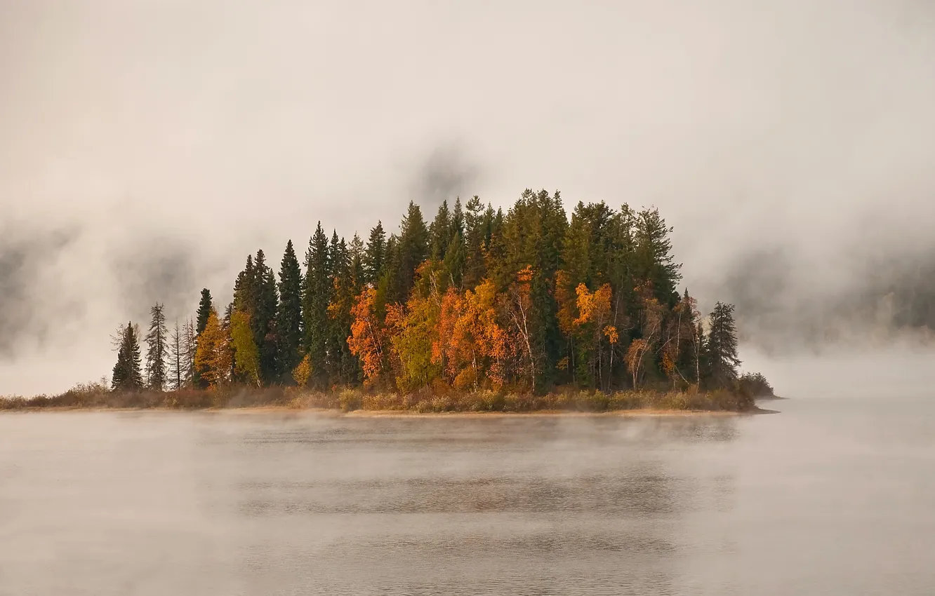 Photo wallpaper trees, fog, lake, island