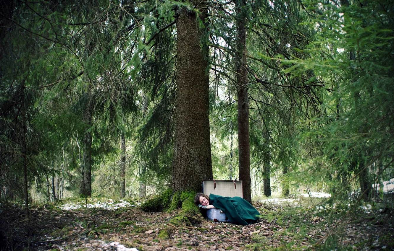 Photo wallpaper forest, girl, the situation, suitcase