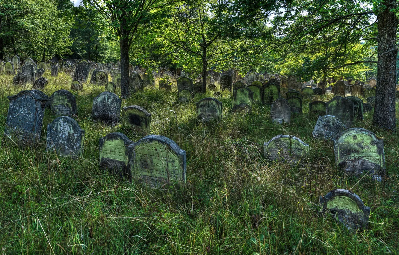 Photo wallpaper grass, cemetery, headstone