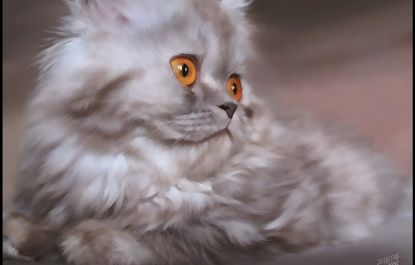 Photo wallpaper eyes, kitty, Koshak