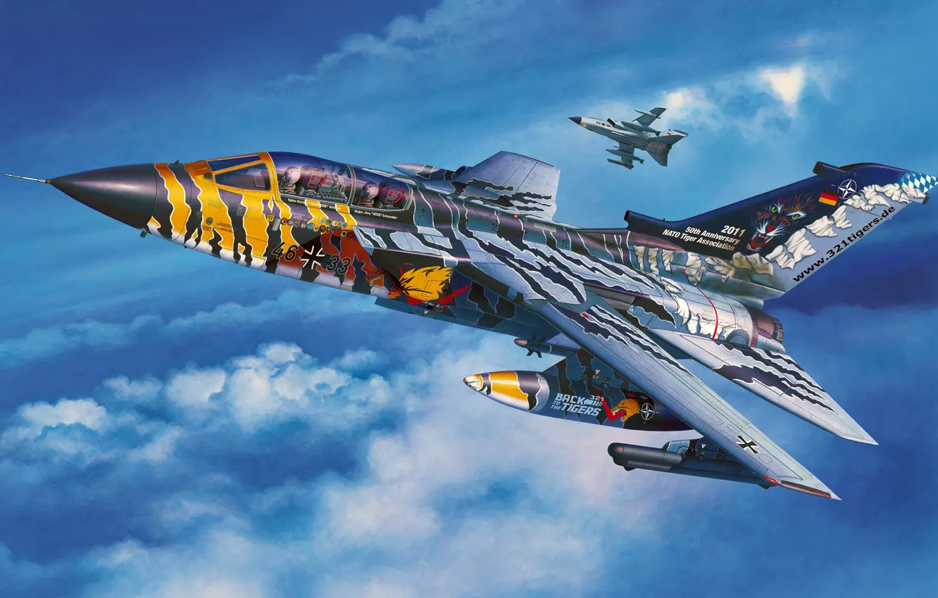 Photo wallpaper art, painting, jet, Tornado ECR &ampquot;Tigermeet 2011&ampquot;
