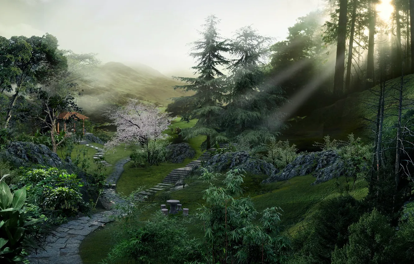 Photo wallpaper forest, rays, path