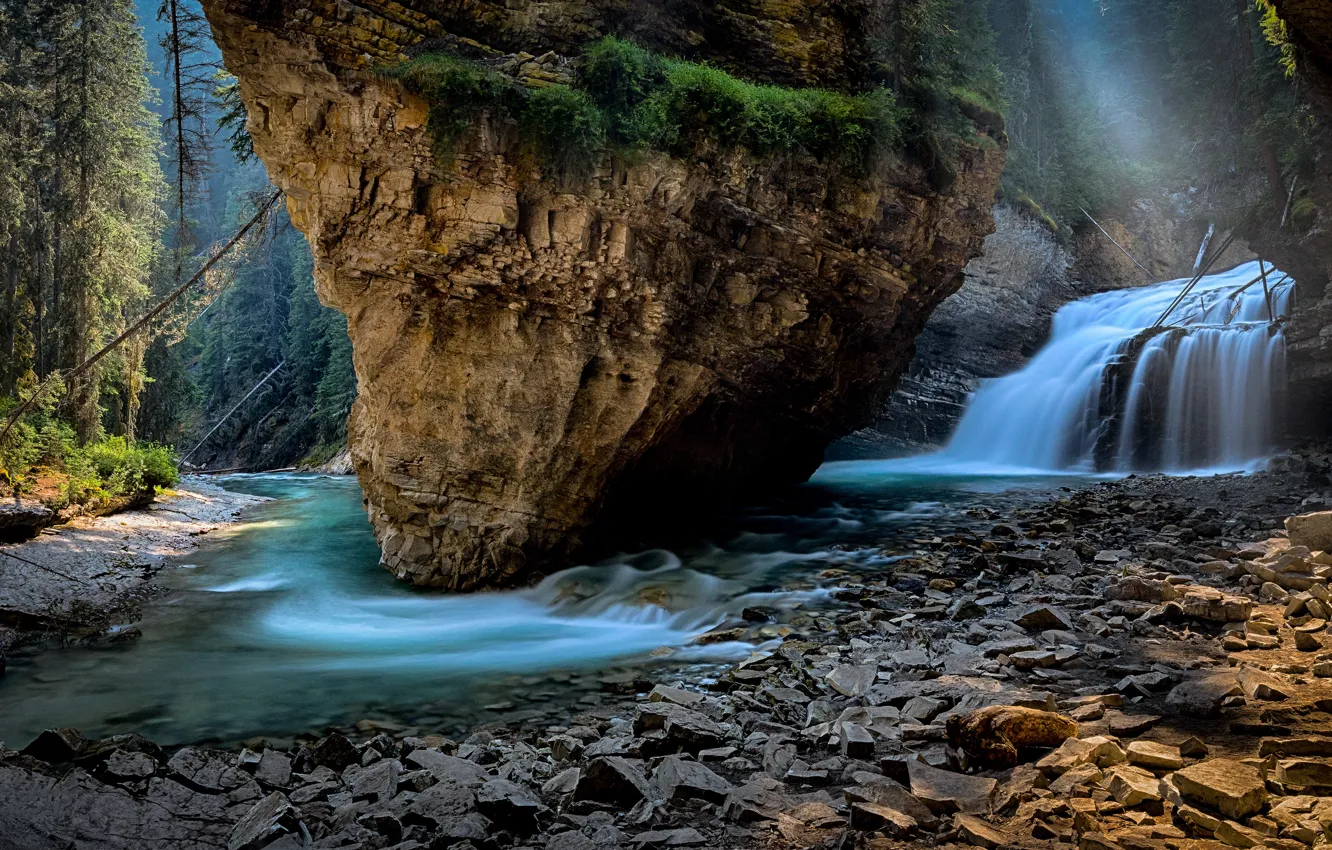 Photo wallpaper forest, branches, fog, stones, rocks, shore, view, waterfall