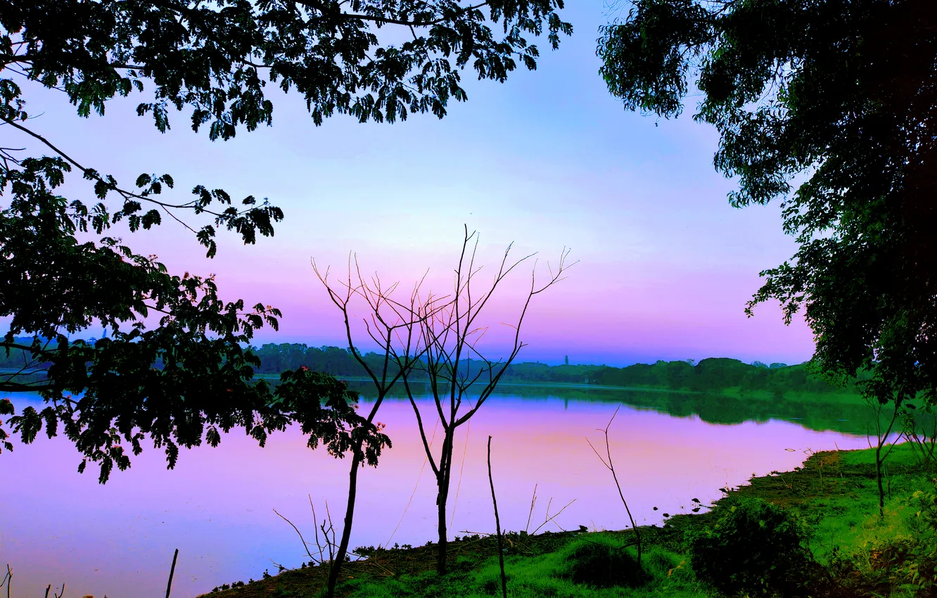 Photo wallpaper Water, Sunrise, Dawn, Morning, Lake, Trees, Reflection, First Light