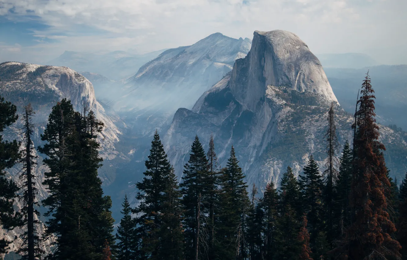 Photo wallpaper USA, forest, trees, landscape, nature, Yosemite Valley, mountains, rocks