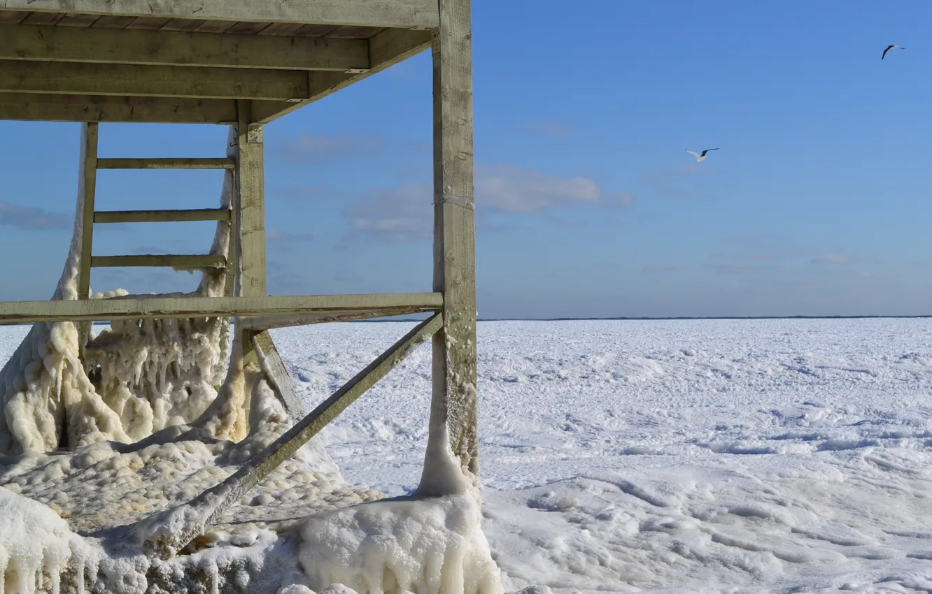 Photo wallpaper winter, sea, ice