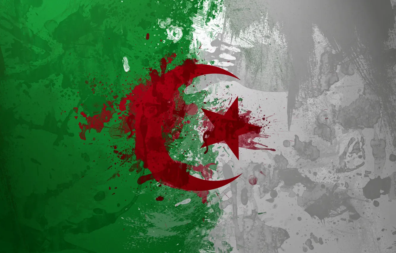 Photo wallpaper paint, flag, Algeria, Algeria