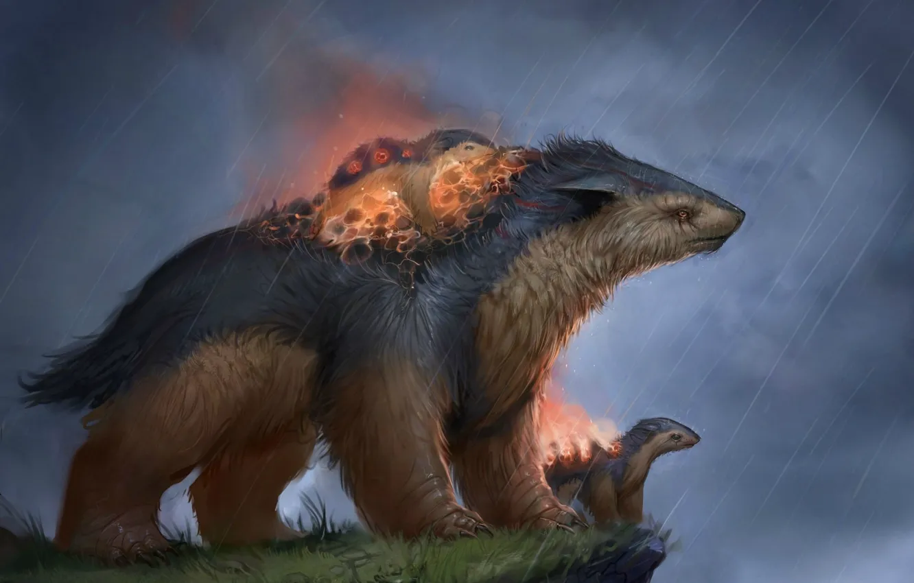 Photo wallpaper night, fantasy, art