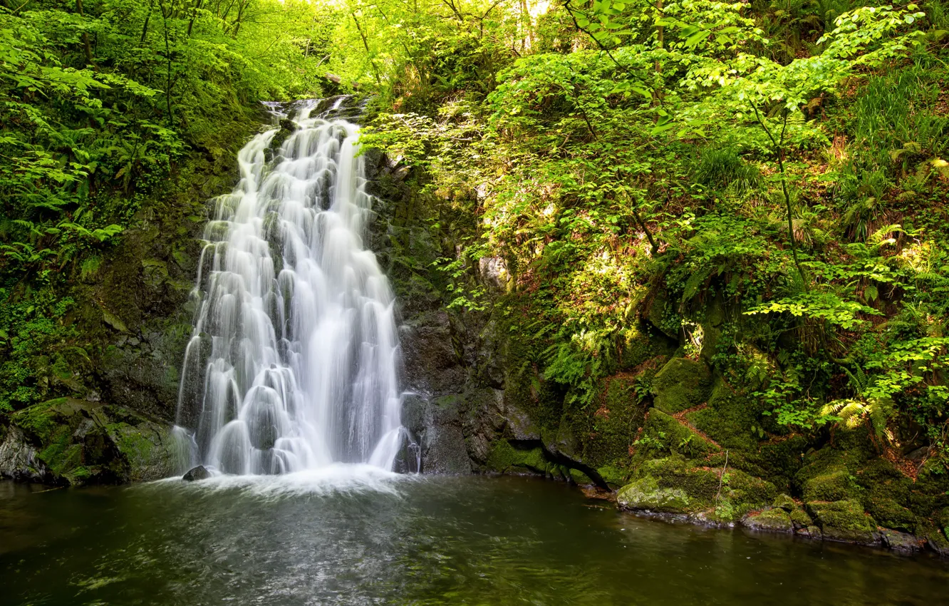 Photo wallpaper water, trees, nature, stones, waterfall