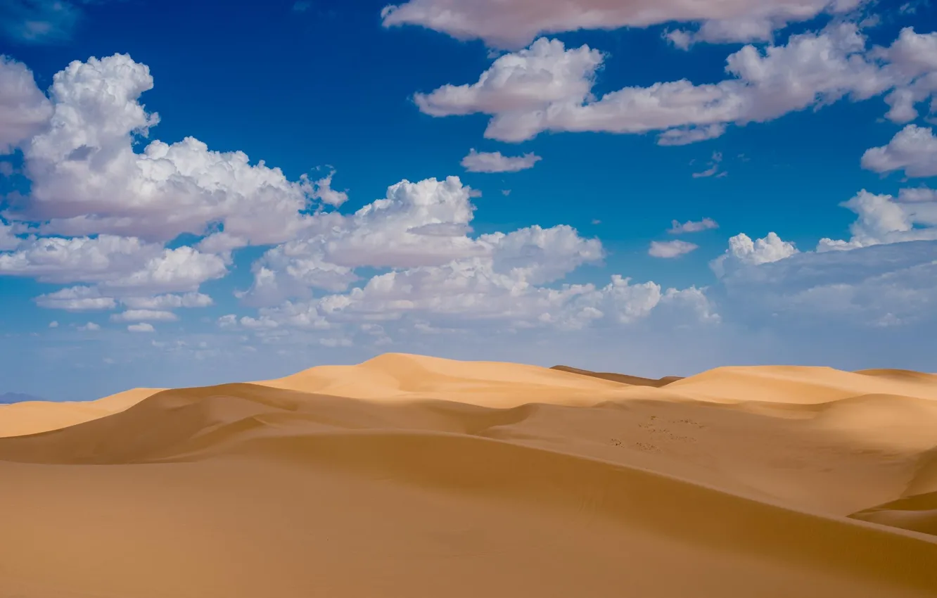 Photo wallpaper USA, California, Imperial Sand Dunes - Brawley