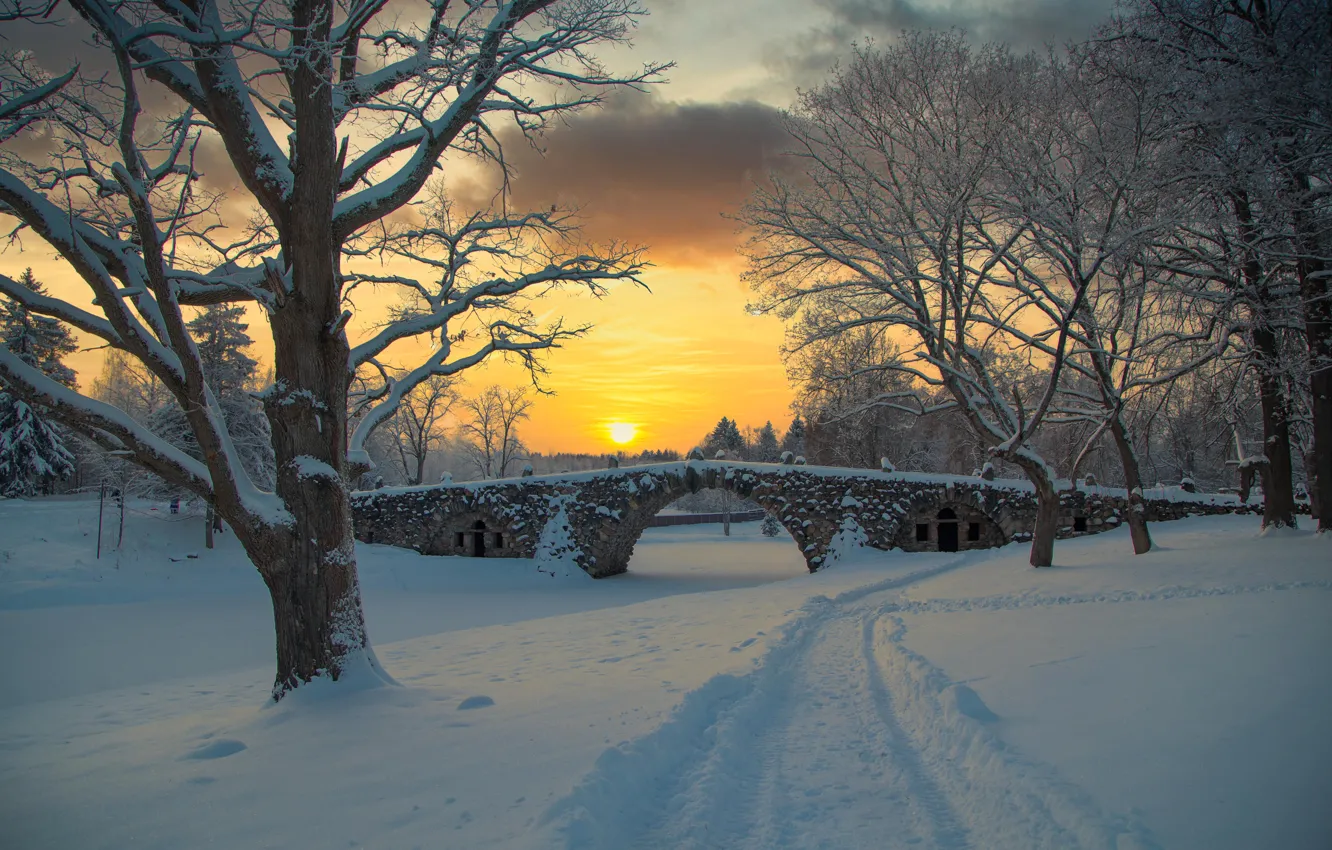 Photo wallpaper winter, snow, landscape, sunset, bridge, nature, track, Tver oblast