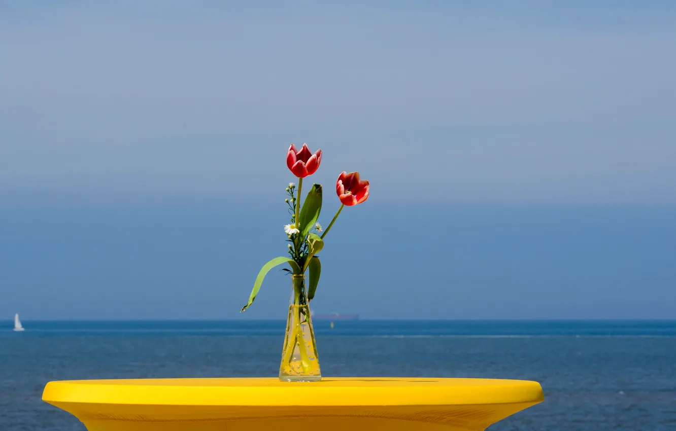 Photo wallpaper sea, the sky, flowers, yacht, tulips, sail, vase
