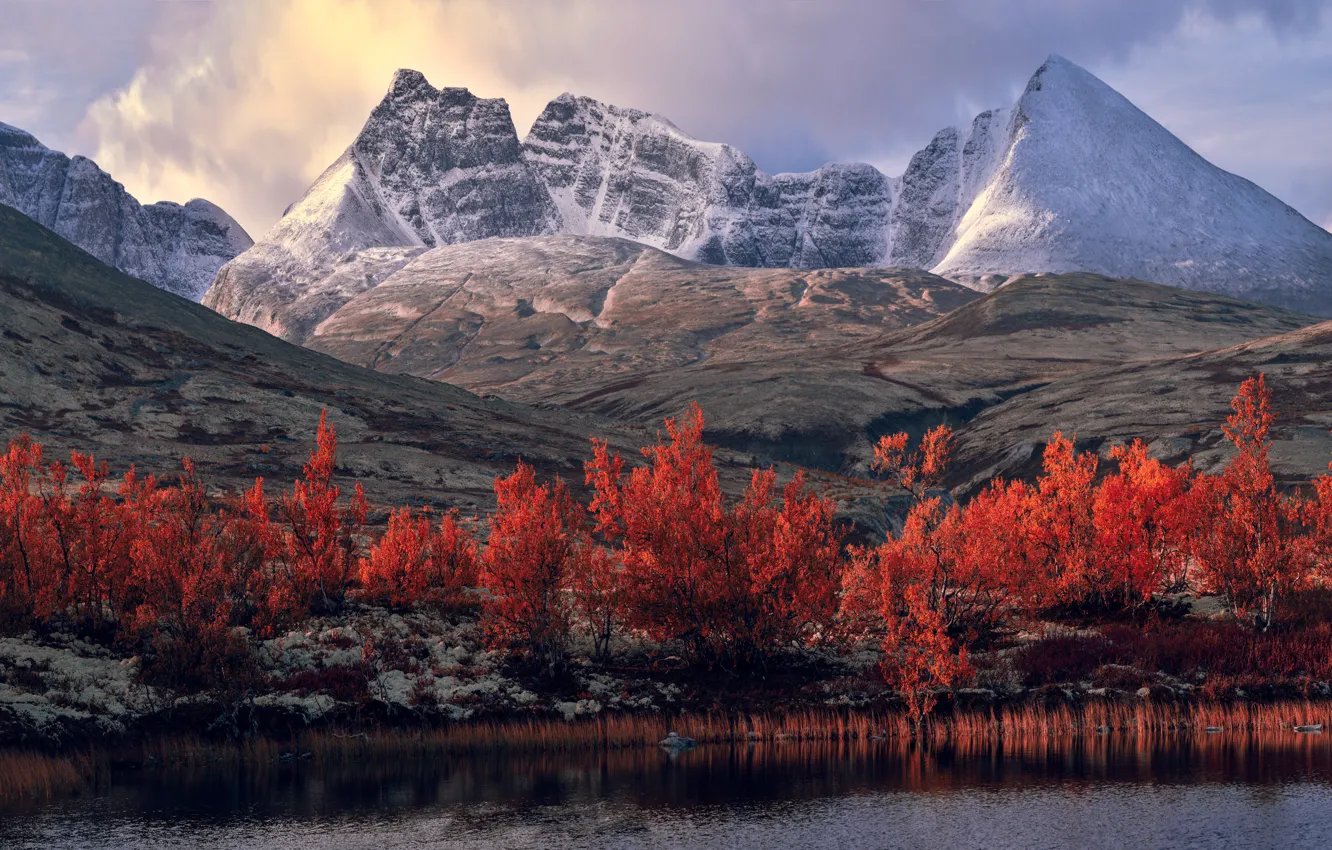 Photo wallpaper autumn, trees, mountains, panorama