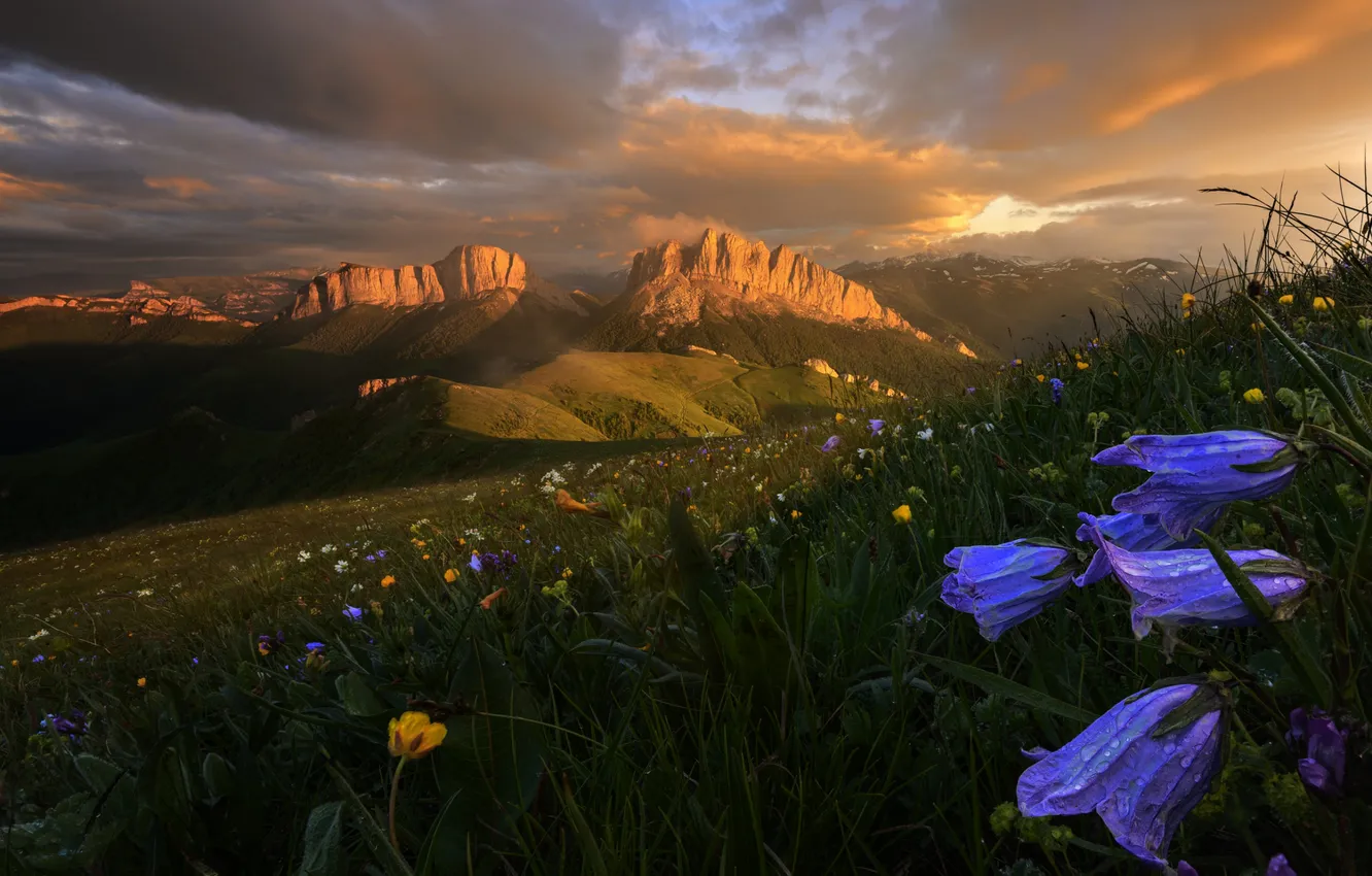 Photo wallpaper clouds, sunset, flowers, mountains, horizon, Magnificent landscape, Sergey Shirgin