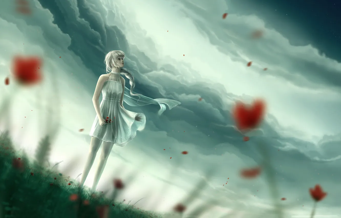 Photo wallpaper girl, flowers, the wind, meadow, Clouds