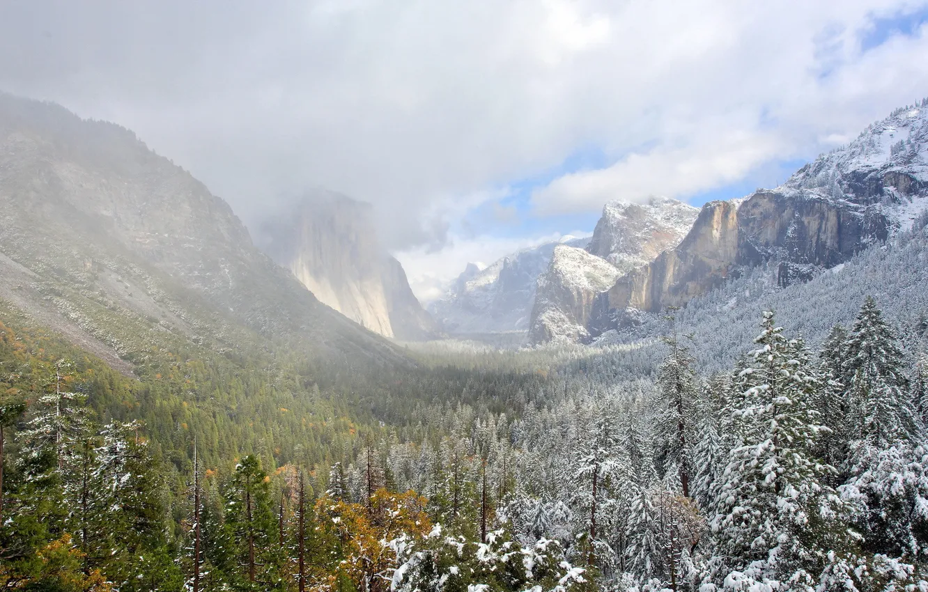 Photo wallpaper trees, landscape, mountains