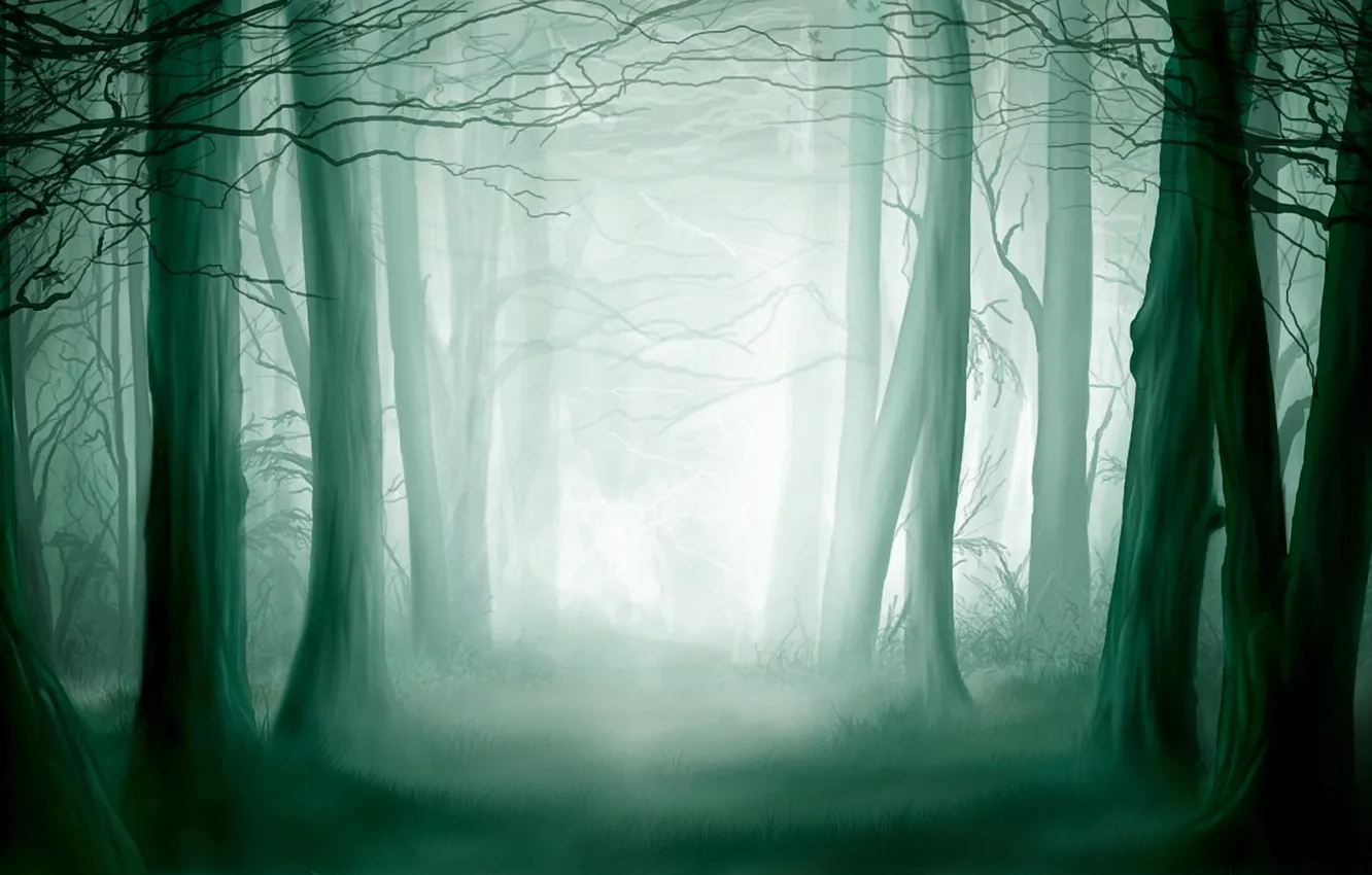 Photo wallpaper forest, light, thicket