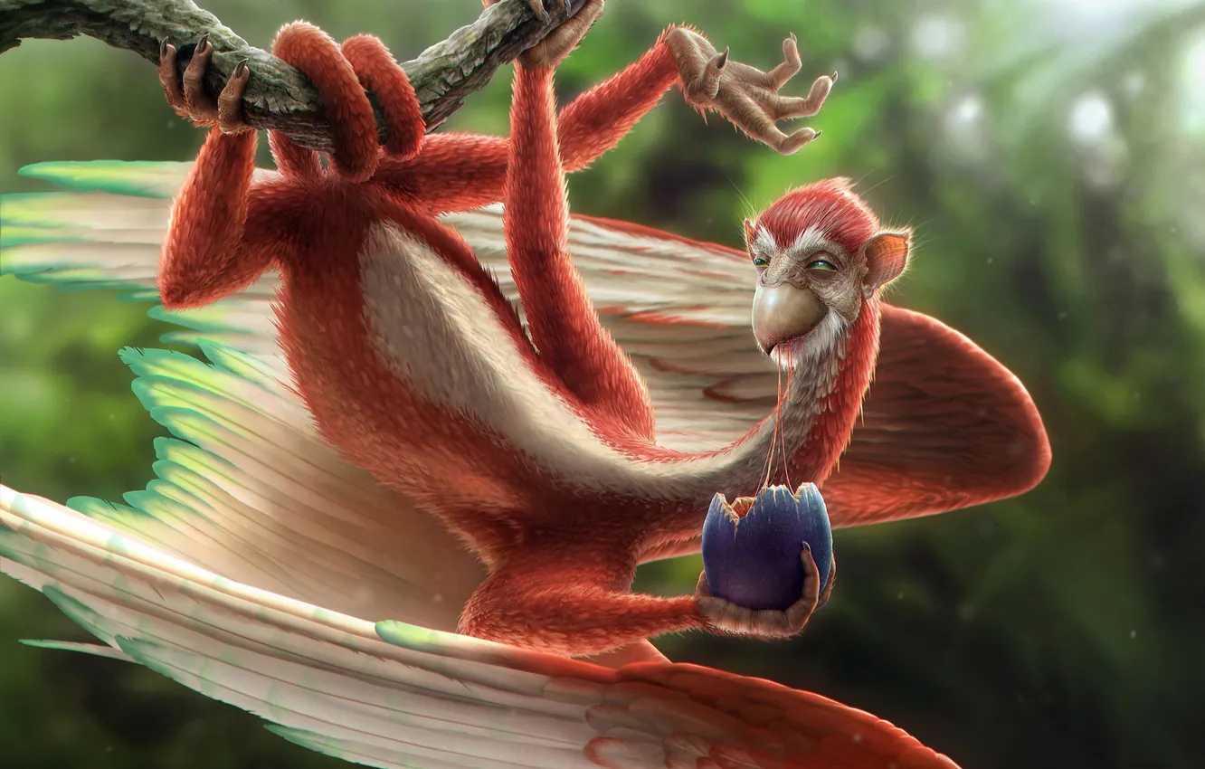 Photo wallpaper bird, eggs, being, monkey, Nate Hallinan