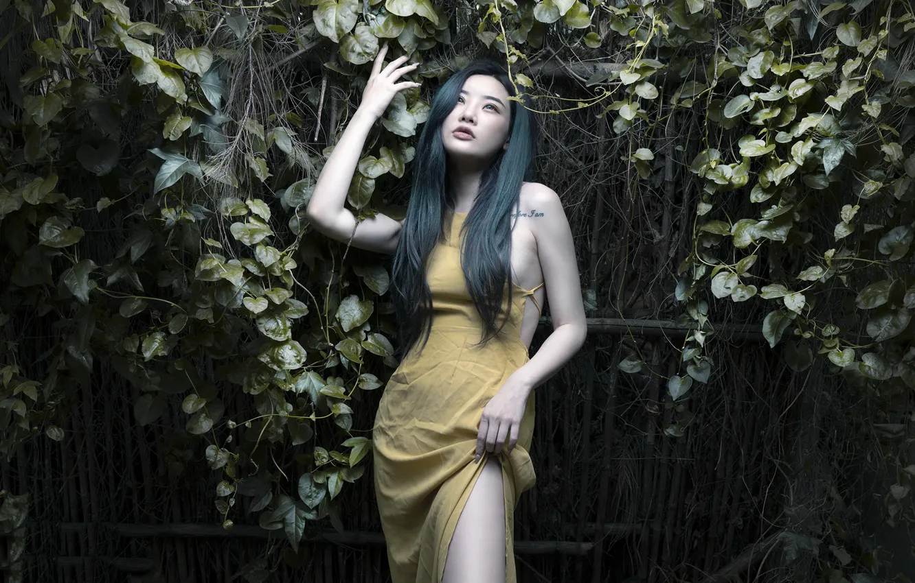 Photo wallpaper girl, pose, Asian