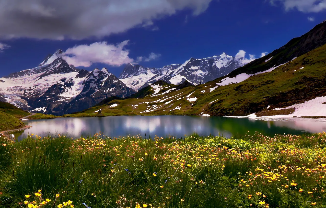 Photo wallpaper flowers, mountains, lake, Switzerland, Switzerland, Bernese Alps, The Bernese Alps, Bernese Oberland