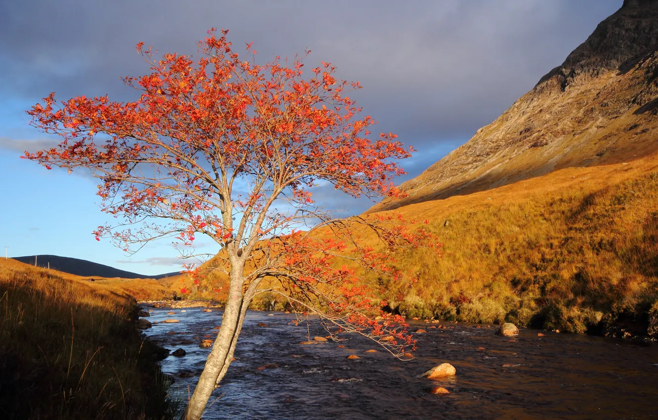 Photo wallpaper autumn, trees, mountains, river, stones
