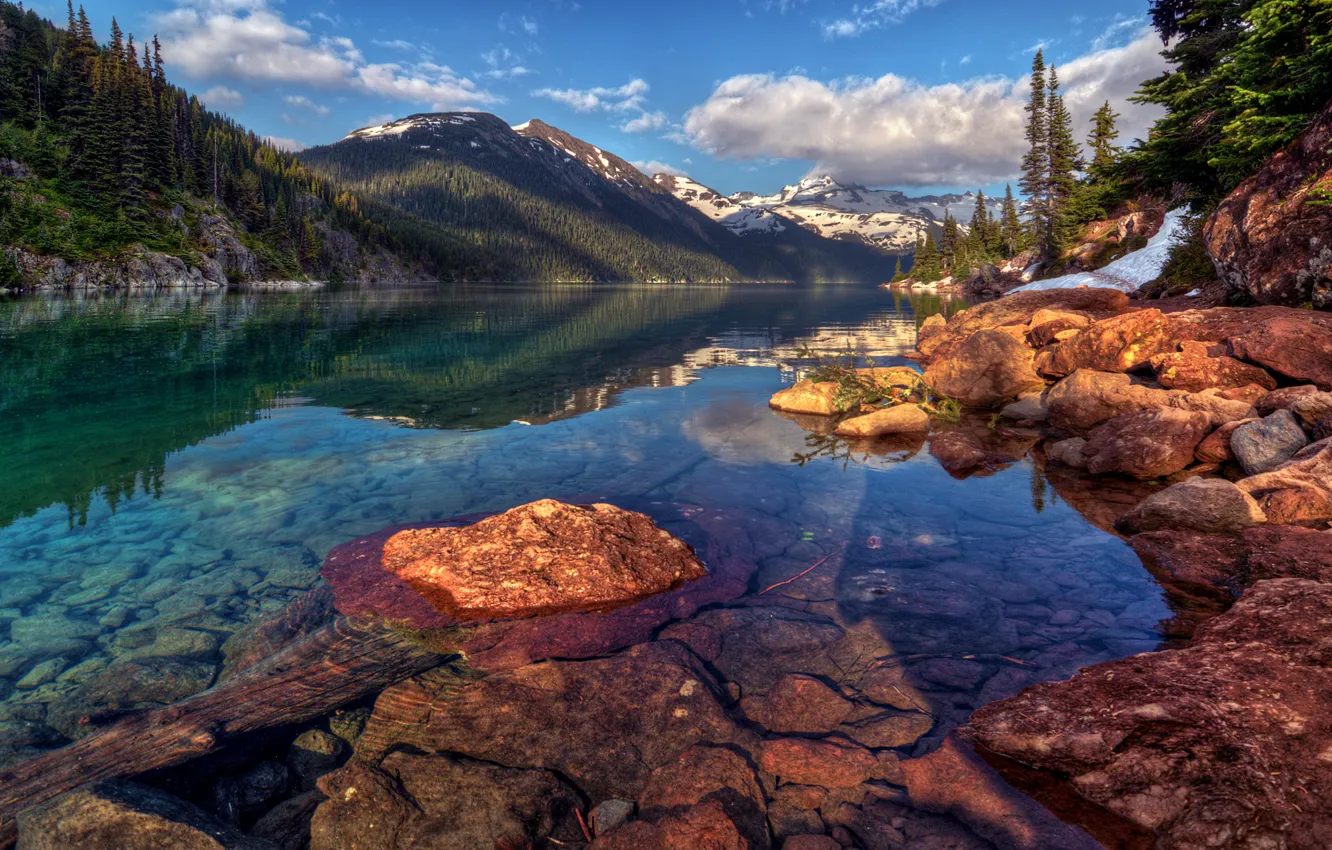 Photo wallpaper forest, the sky, water, clouds, snow, trees, landscape, mountains