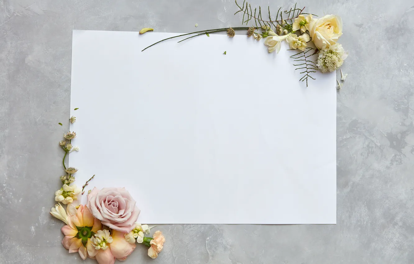 Photo wallpaper flowers, paper, flowers, backgrounds, card