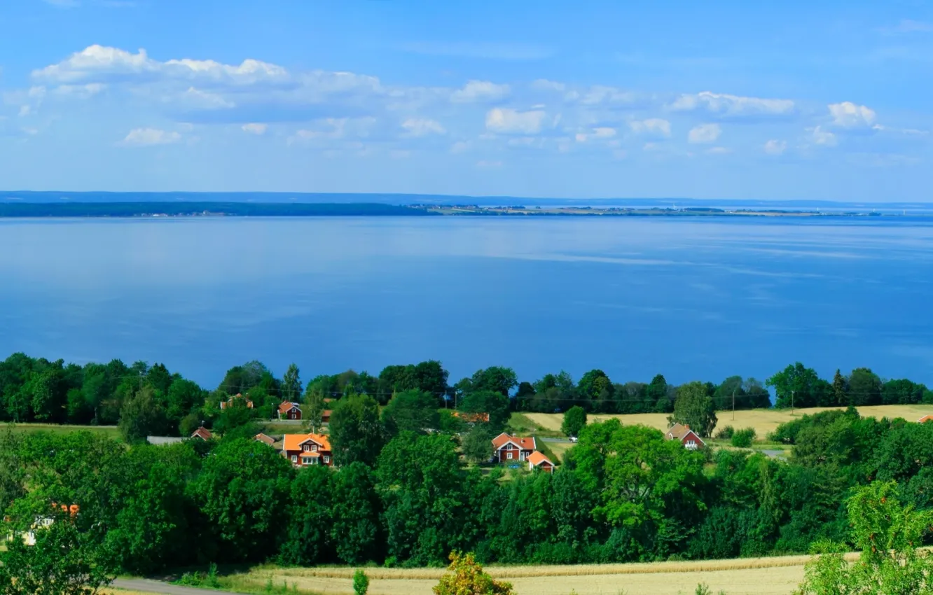 Photo wallpaper sea, field, the sky, clouds, trees, nature, river, shore