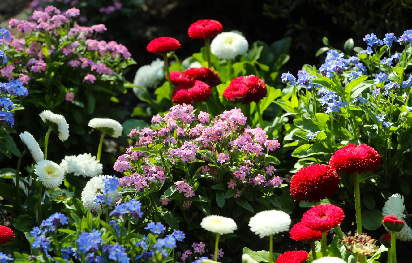 Photo wallpaper garden, spring, colorfull, blooming