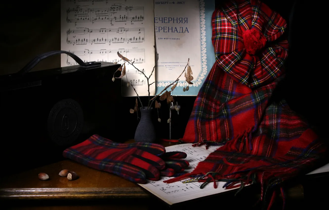 Photo wallpaper autumn, red, notes, music, the dark background, table, scarf, gloves