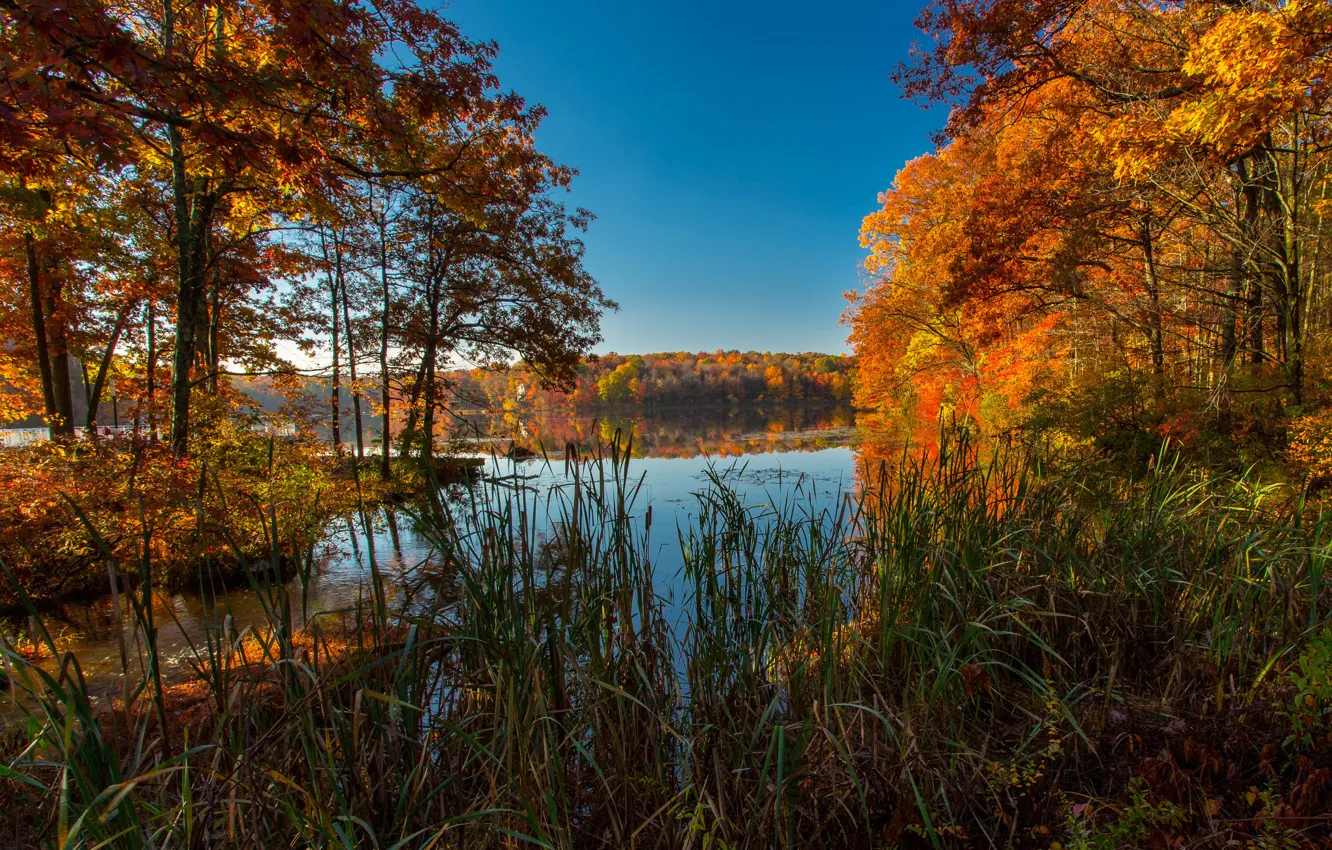 Photo wallpaper autumn, trees, lake, USA, the colors of autumn, Ice Lakes Colorado