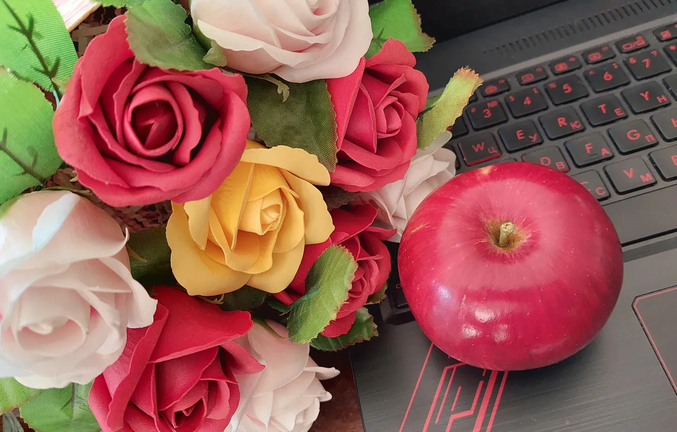 Photo wallpaper apples, roses, keyboard, laptop, soap roses