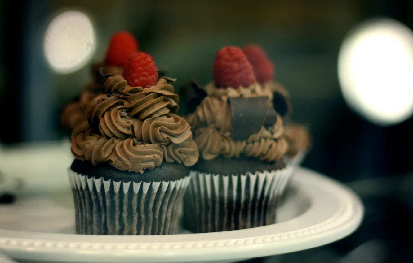 Photo wallpaper raspberry, chocolate, plate, cake, cream, dessert