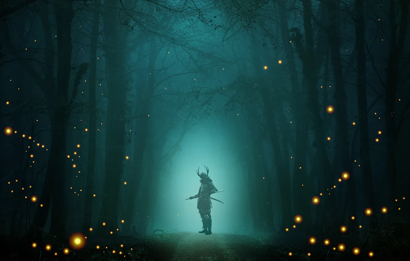 Photo wallpaper road, autumn, forest, light, trees, night, branches, lights