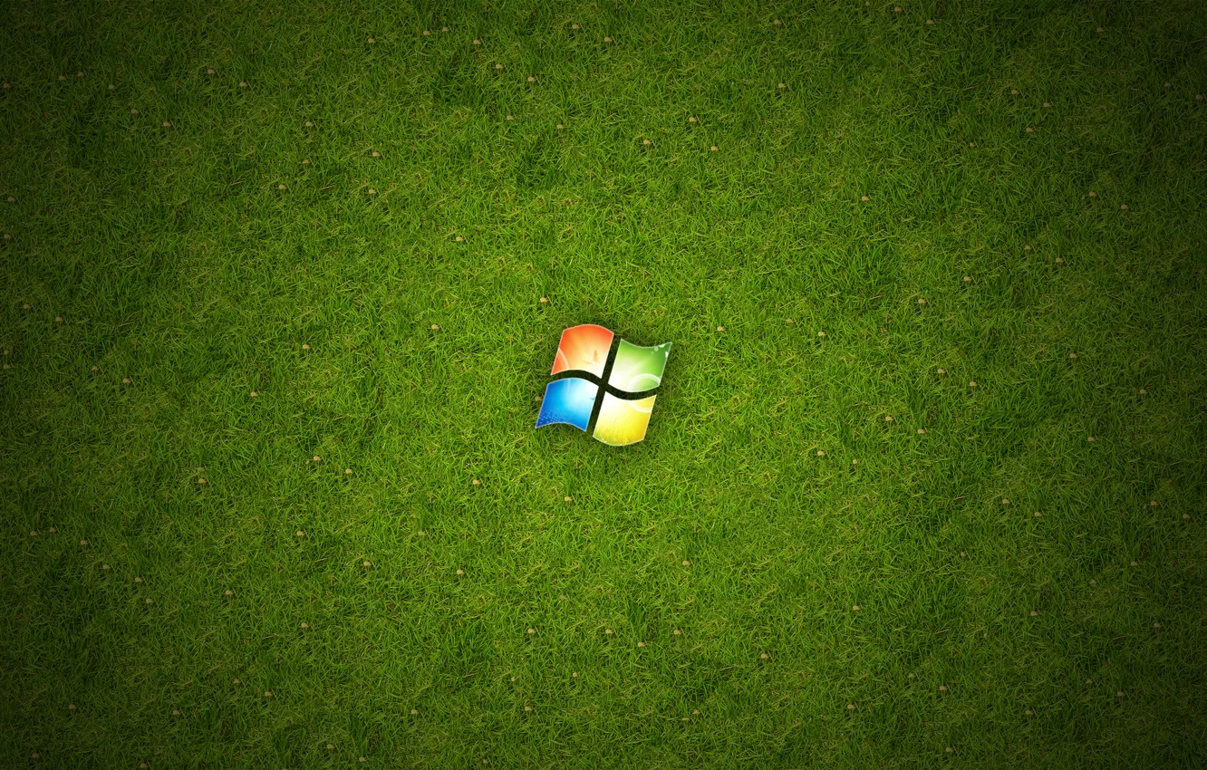 Photo wallpaper grass, green, Windows