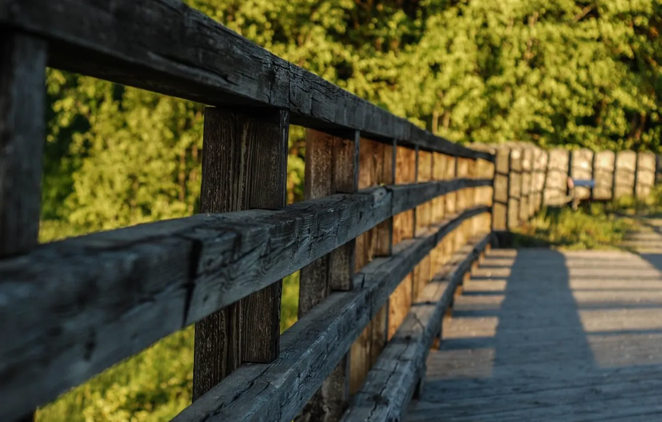 Photo wallpaper the fence, the garden, wooden