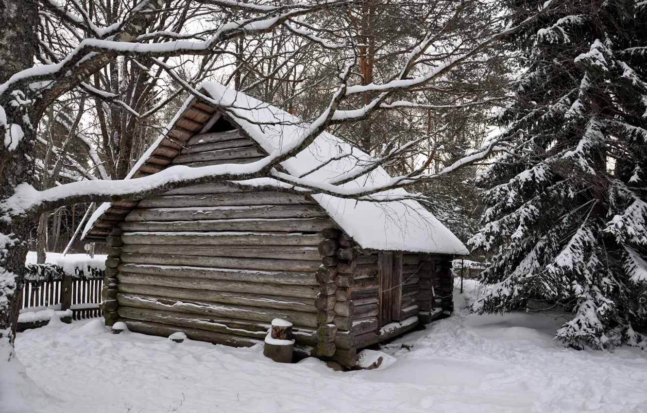Photo wallpaper winter, forest, snow, trees, hut, village, house, house