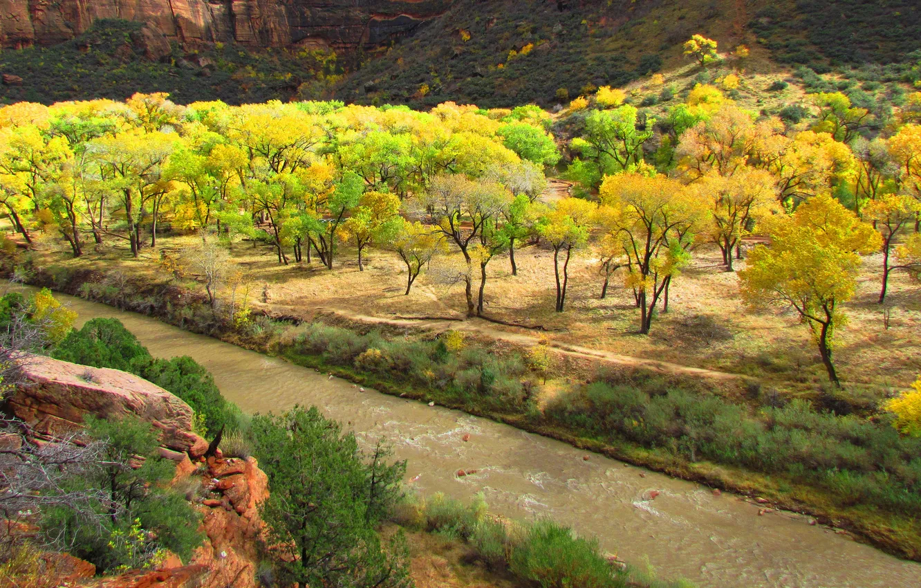 Photo wallpaper autumn, trees, river, rocks, slope