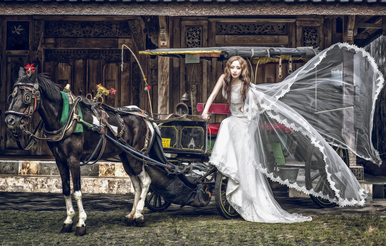 Photo wallpaper girl, horse, horse, dress, wagon, Asian, the bride, nag
