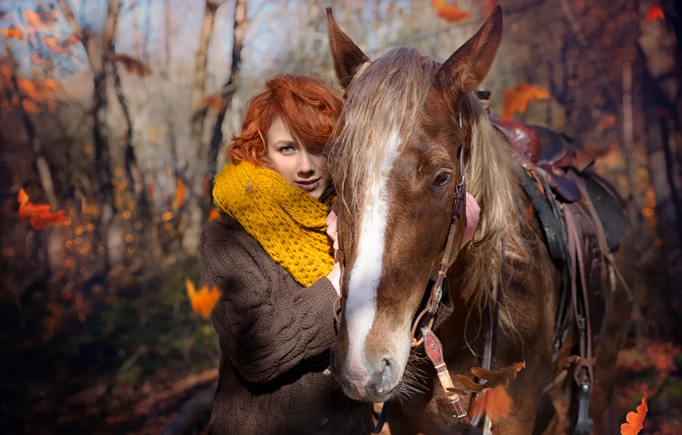 Photo wallpaper autumn, forest, look, girl, light, trees, Park, each