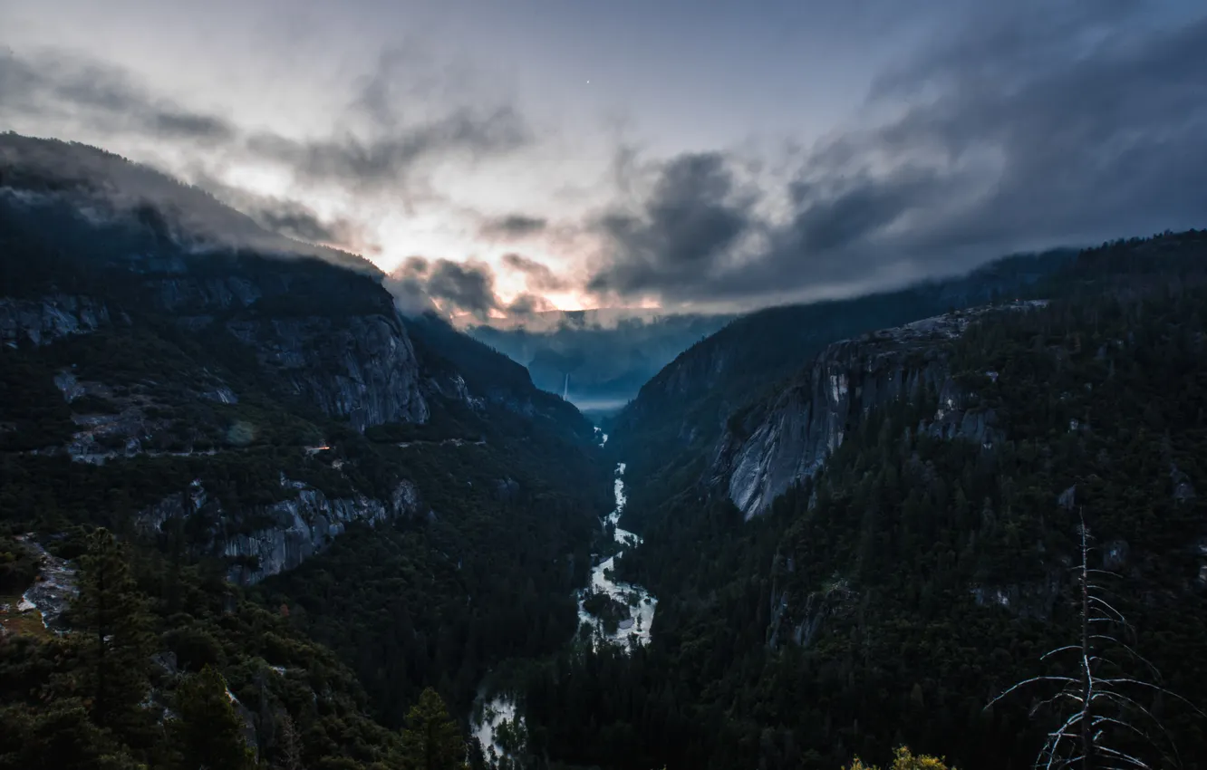 Photo wallpaper forest, the sky, clouds, trees, landscape, sunset, mountains, nature