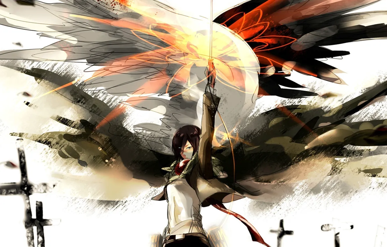 Photo wallpaper Shingeki no Kyojin, Mikasa Ackerman, Attack Of The Titans