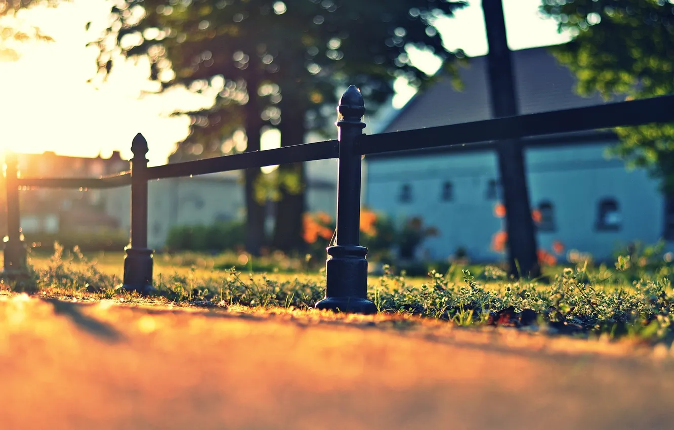 Photo wallpaper greens, grass, asphalt, the sun, macro, nature, background, widescreen