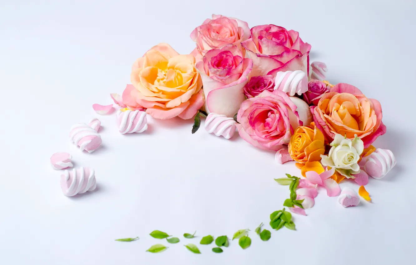 Photo wallpaper flowers, roses, buds, marshmallows