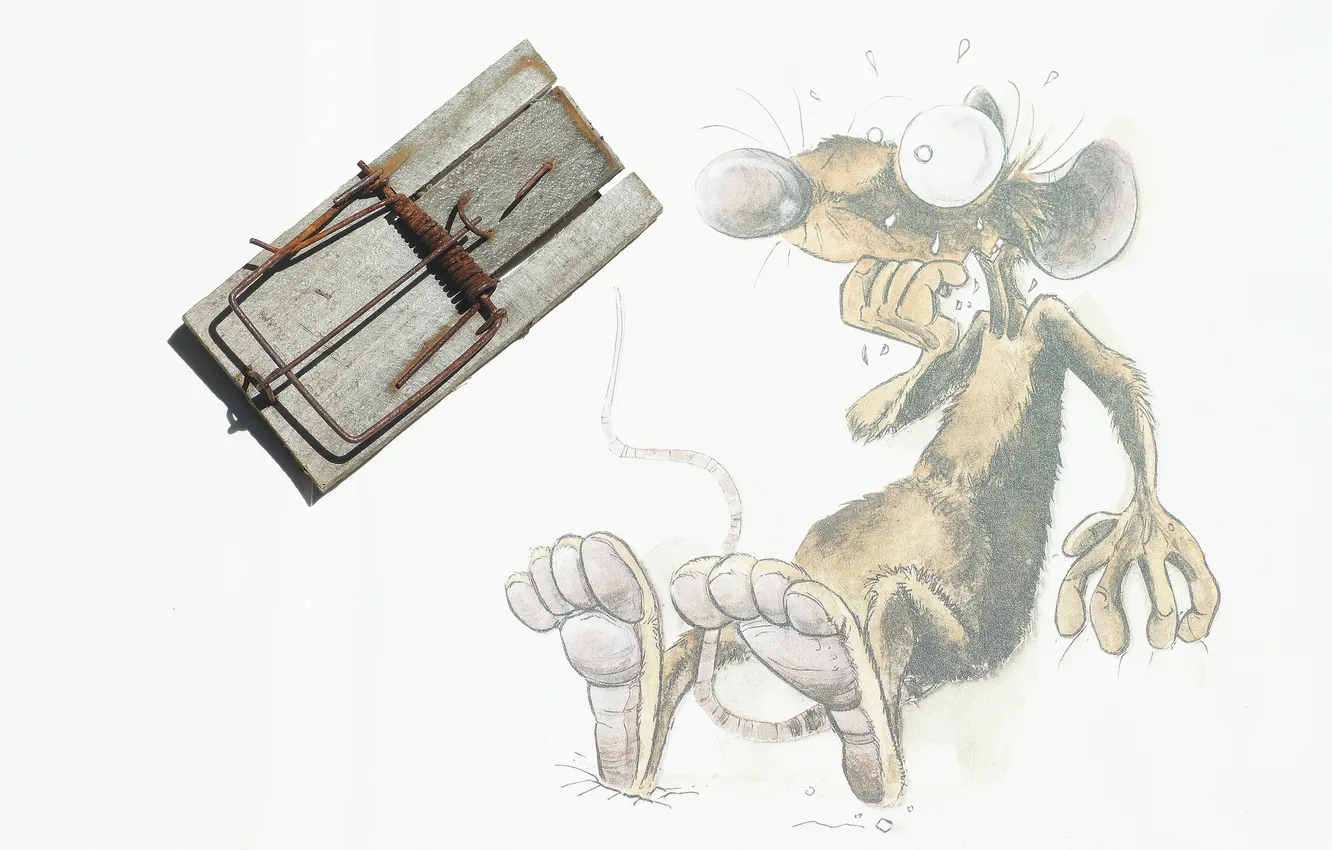 Photo wallpaper fear, mouse, mousetrap