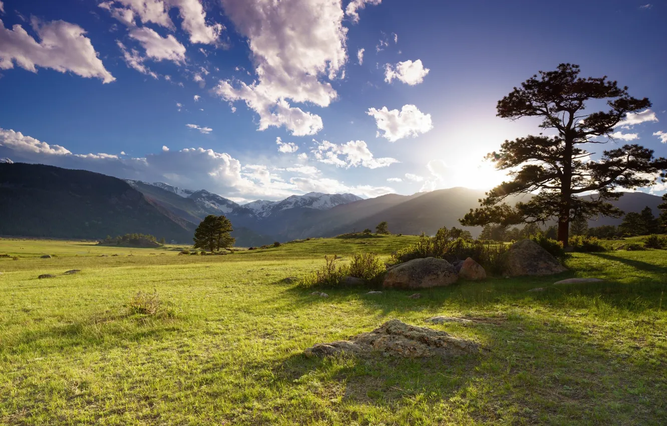 Photo wallpaper the sky, mountains, meadow