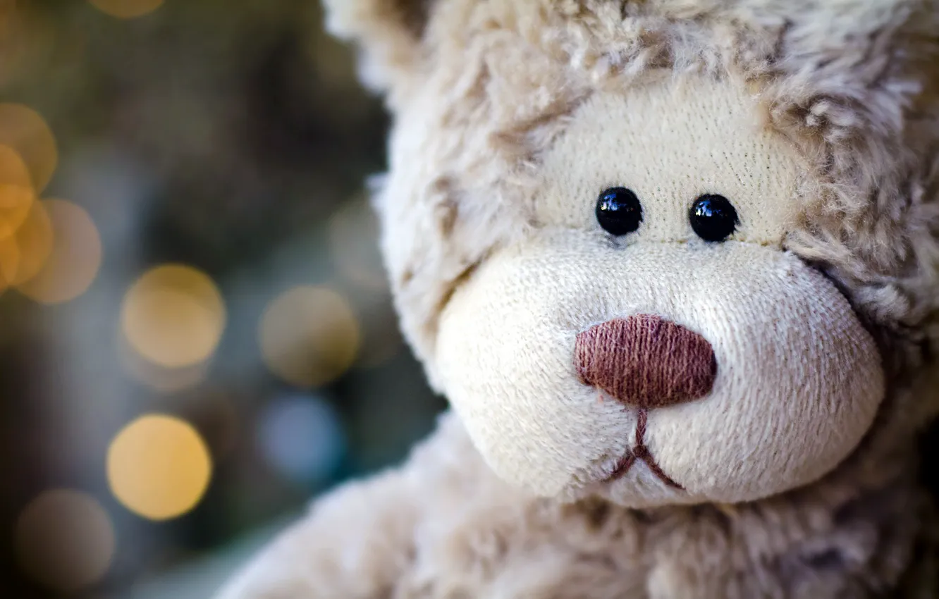 Photo wallpaper sadness, bear, bear, plush