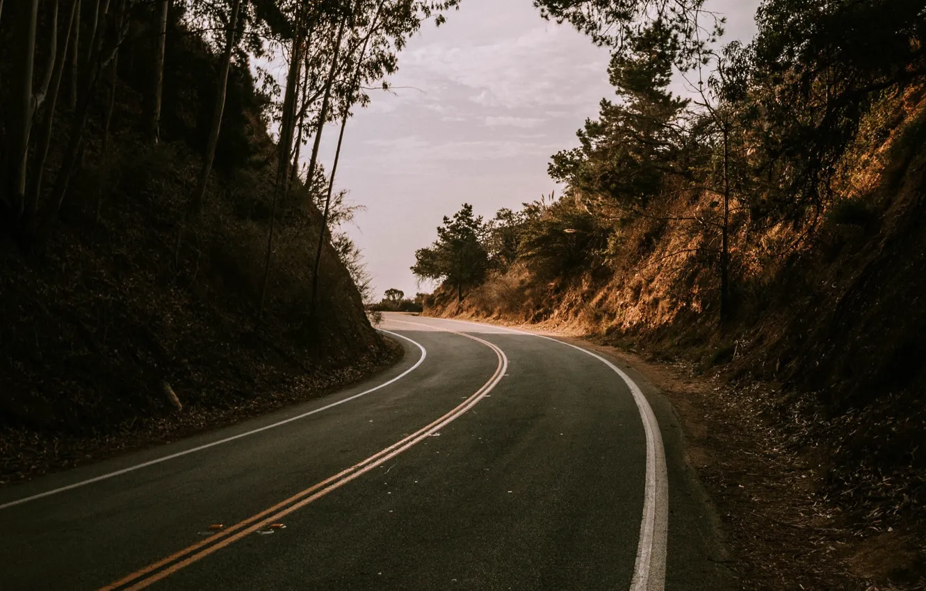 Photo wallpaper road, trees, nature, hills, turn